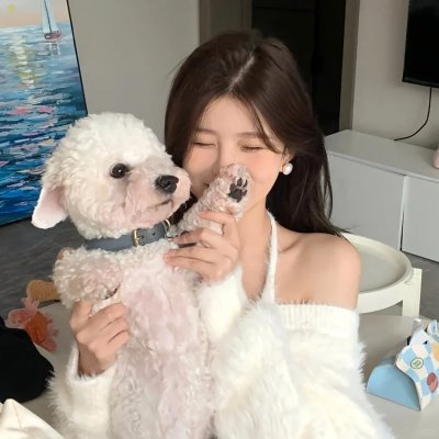 有招没招之爱情达人